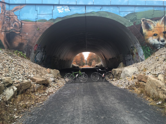 The cycle trail to the Bluff Wilderness Trail (also the cycle trail towards Yarmouth and Digby)