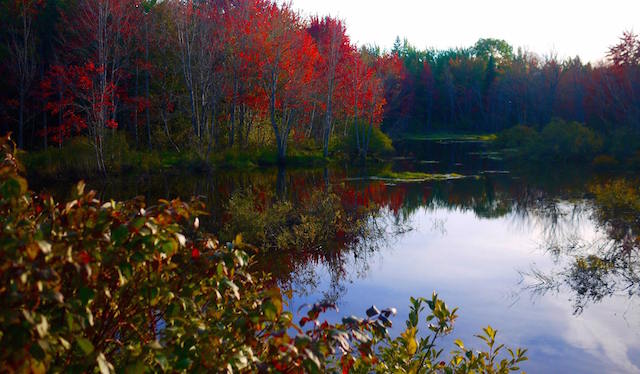 New Brunswick in Fall, discovering new brunswick by bicycle