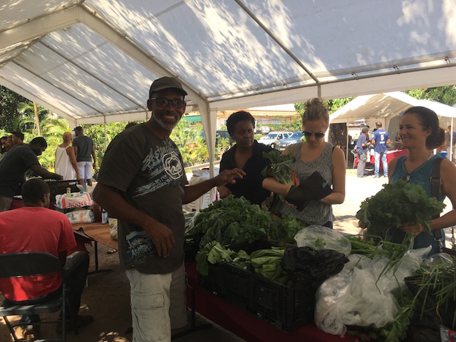 Organic markets in Kingston