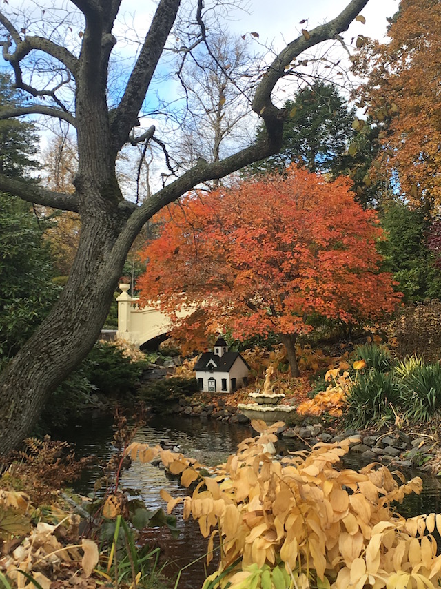 The Public Gardens in Halifax during Autumn