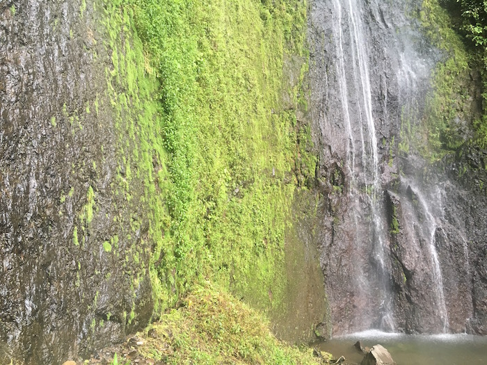 The San Ramon Waterfall ecotourism in nicaragua